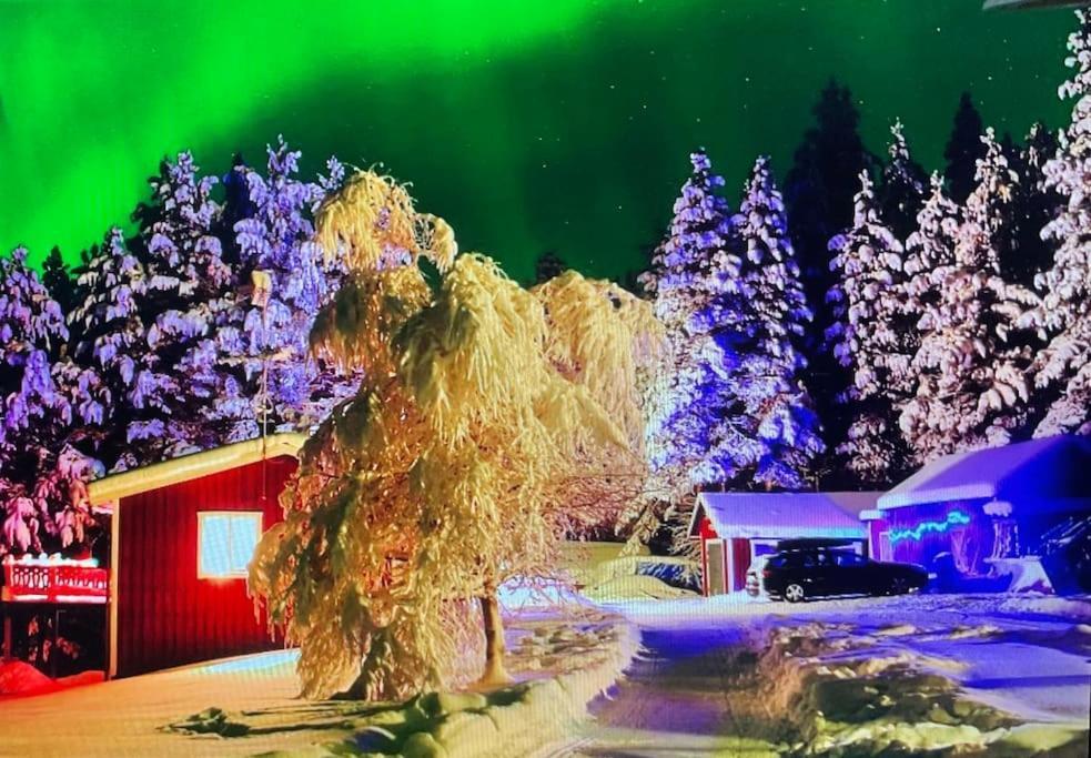Lakeside Wilderness Cabin Jokkmokk Buitenkant foto
