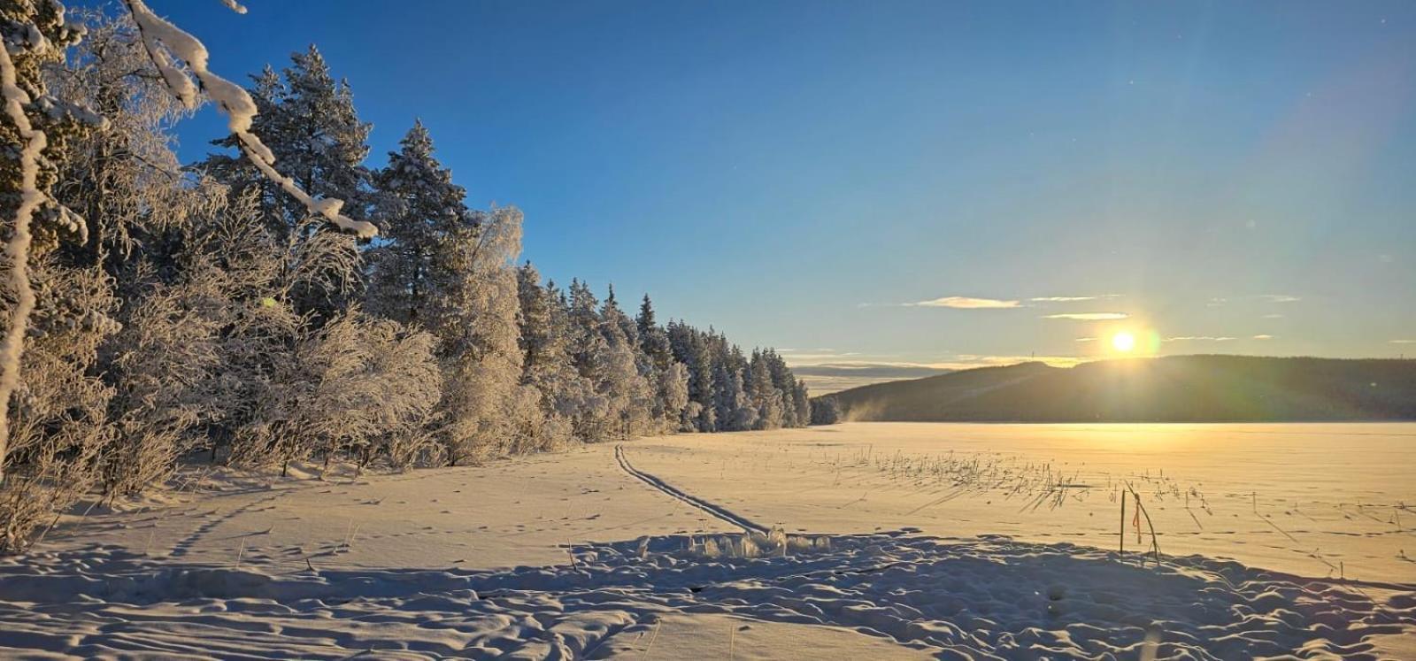 Lakeside Wilderness Cabin Jokkmokk Buitenkant foto