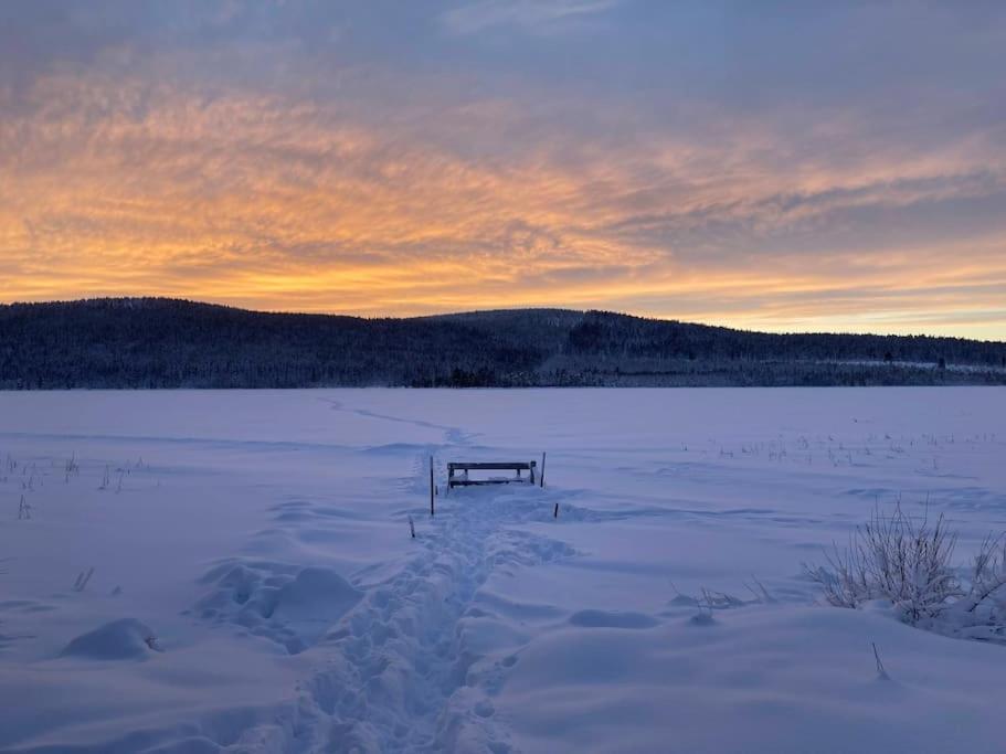 Lakeside Wilderness Cabin Jokkmokk Buitenkant foto