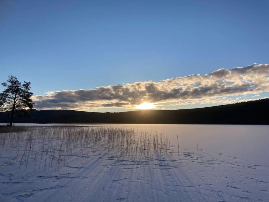 Lakeside Wilderness Cabin Jokkmokk Buitenkant foto