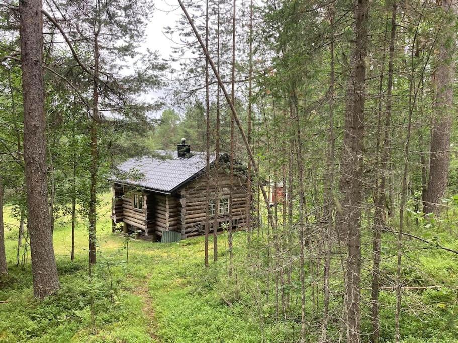 Lakeside Wilderness Cabin Jokkmokk Buitenkant foto